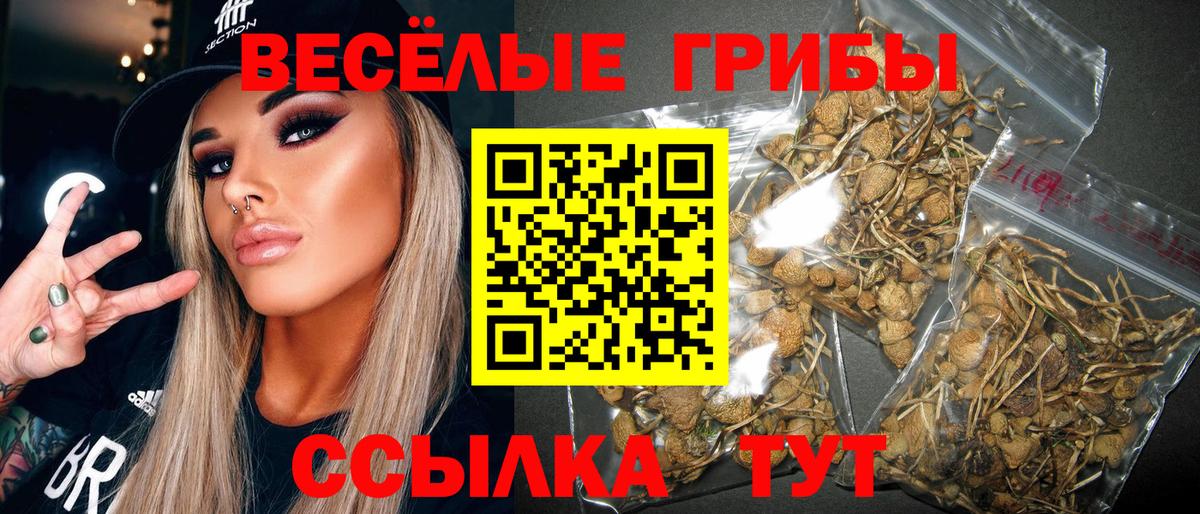 Галлюциногенные грибы GOLDEN TEACHER Белебей